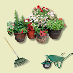 Collection image for: Garden & Outdoor