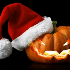 Collection image for: Seasonal