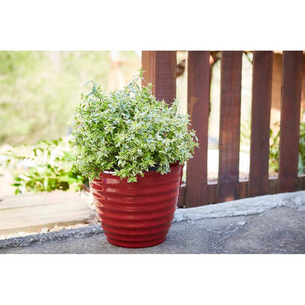 Beehive-Shaped Planter – Unique Outdoor & Indoor Plant Pot