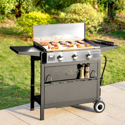 ARTS Propane BBQ Grill 2-3 Burner Cast Iron Griddle Outdoor Patio Cooking