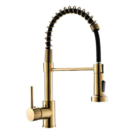 2-Function Pull Down Kitchen Faucet Swivel 1 Handle 16.3 Inch High Design