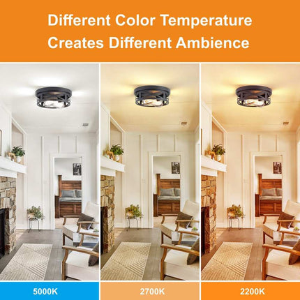 2-Light Flush Mount Ceiling Light – Black Farmhouse Style, 2-Pack
