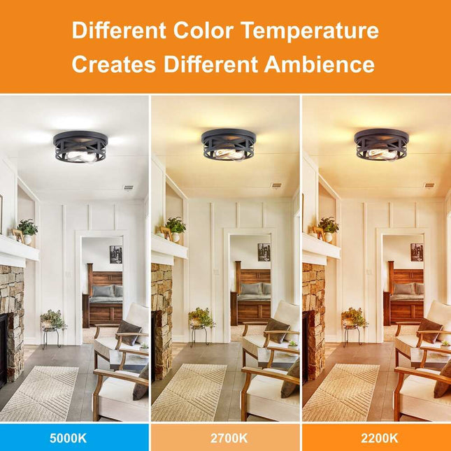 2-Light Flush Mount Ceiling Light – Black Farmhouse Style, 2-Pack