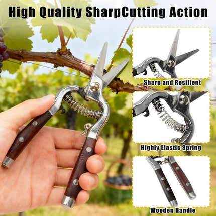 2-Piece Wood & Steel Pruning Shears Set – 8x20cm Garden Clippers