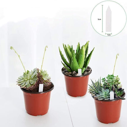 100-Pack 4" Plastic Plant Nursery Pots – Seedling Containers with Labels