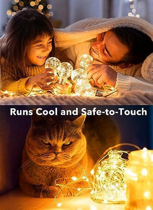 12-Pack LED Fairy Lights 7ft Battery Operated 20LED Silver Wire String Lights