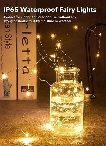 12-Pack LED Fairy Lights 7ft Battery Operated 20LED Silver Wire String Lights