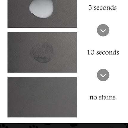 Absorbent Pet Feeding Mat – Quick Dry, No Stains, for Food & Water Bowls (12"x19")