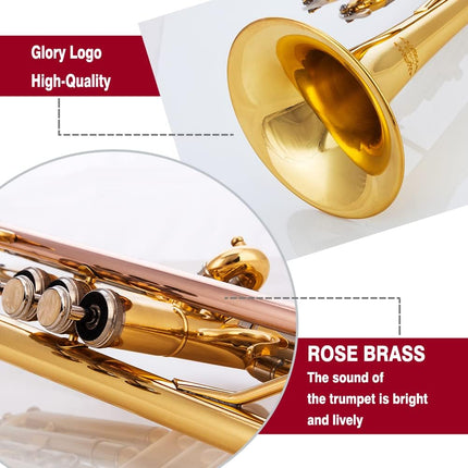 Bb Trumpet for Beginners & Advanced Students – Gold, Case & Pair of Gloves Included