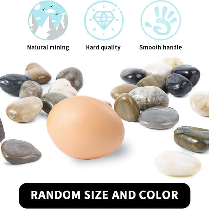 Pebbles Polished Gravel – Natural Mixed Color River Rocks, 2 lbs, 0.5–1.2"