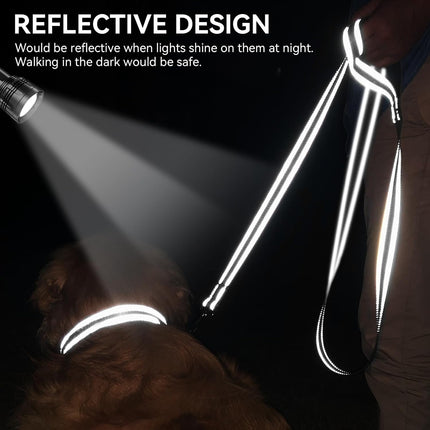 6 FT Dog Leash – Reflective, Padded Handle, Heavy Duty Nylon, Black