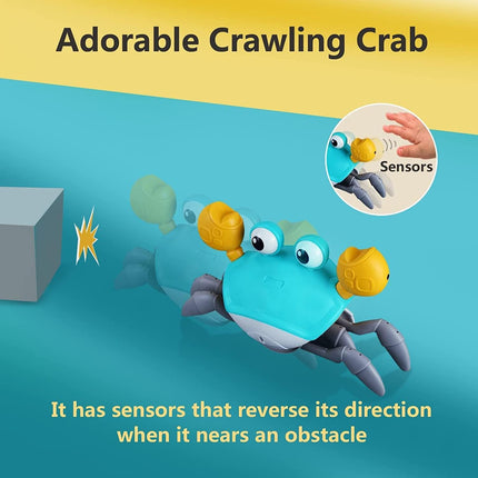 Crawling Crab Baby Toy – Tummy Time & Learning Toy for Infants 3–36 Months