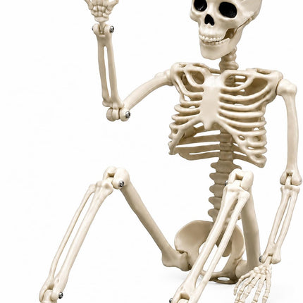 5-Pack 16in Posable Skeletons, Movable Joint Plastic Hanging Halloween Decorations