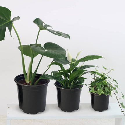 100 Pack 4 Inch Nursery Pots, Plastic Plant Pots with Drainage Holes for Seedlings