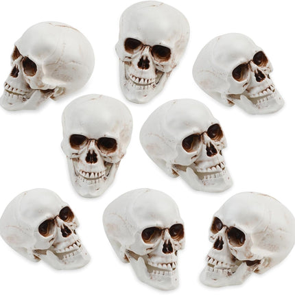 8-Piece Halloween Skull Heads, Realistic Plastic Skeleton Props for Party & Home Decor