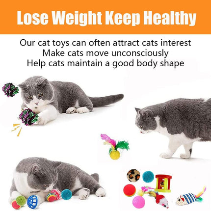 21-Piece Cat Toy Set – Tunnel, Feather Wand & Balls for Indoor Cats