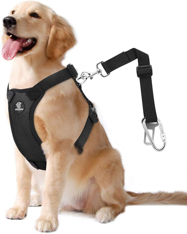 Large Dog Seat Belt Harness – Adjustable, Heavy Duty Nylon, Black