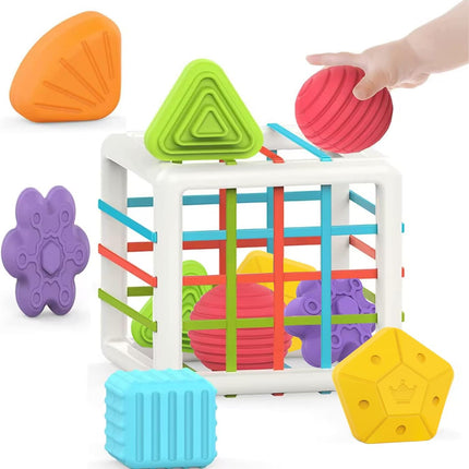 6-Pc Montessori Shape Toys – Early Learning & Development for Toddlers