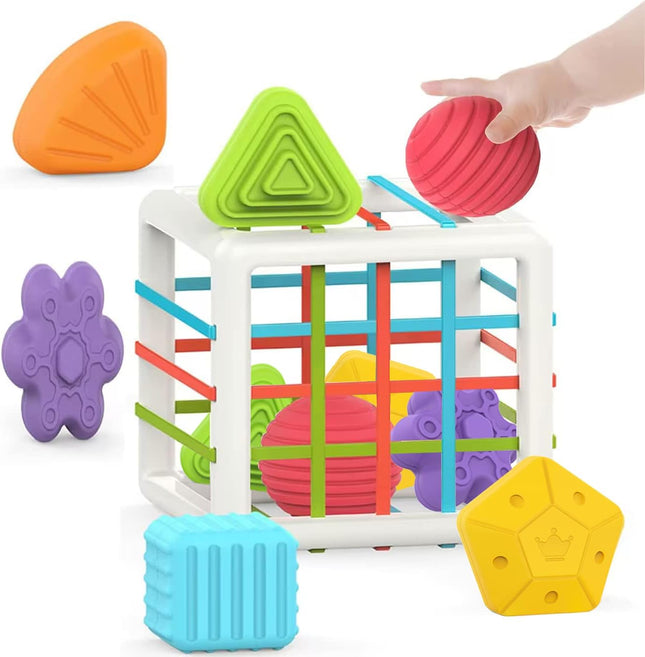 6-Pc Montessori Shape Toys – Early Learning & Development for Toddlers
