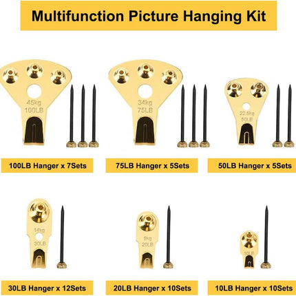 125-Piece Heavy Duty Picture Hanging Kit, Holds 10-100 lbs, Nails Included