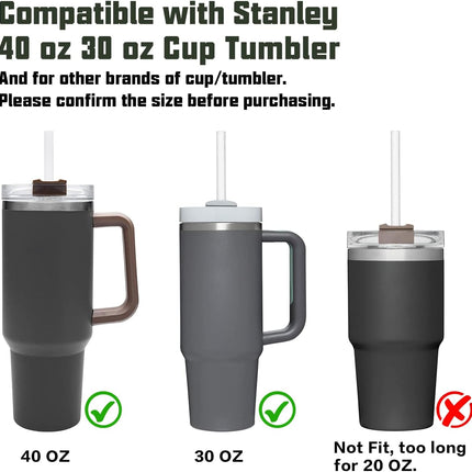 6-Pack Replacement Straws for Stanley 30oz & 40oz Tumblers with Brush