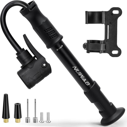 10in Bike Pump, 100PSI Portable Hand Bicycle Air Pump, Presta & Schrader Valve