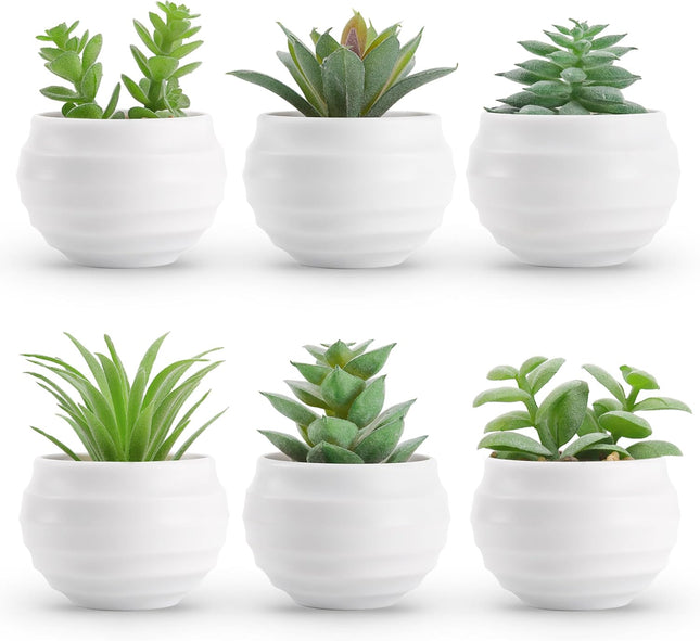 6-Piece Fake Succulent Plants – Bedroom, Living Room, Bathroom Decor