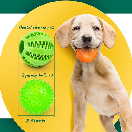 5PCS Interactive Dog Balls Squeaky & Teething Chew Toys for Small Dogs