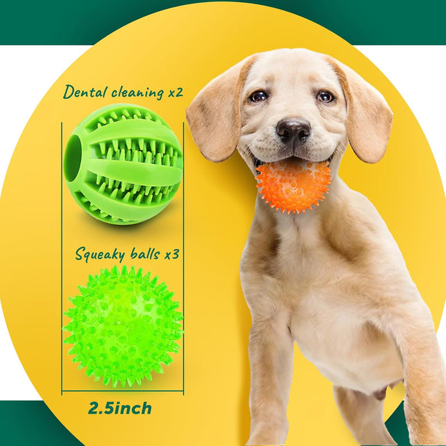 5PCS Interactive Dog Balls Squeaky & Teething Chew Toys for Small Dogs