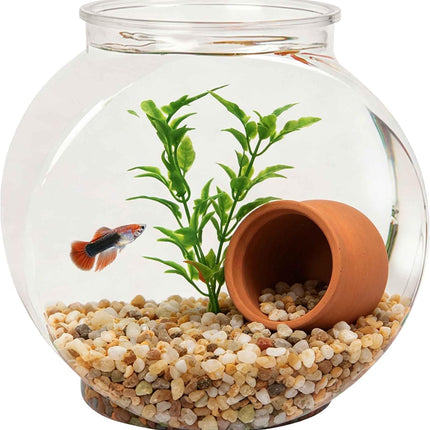 1-Gallon Oval Plastic Fish Bowl, Temporary Betta Tank for Shrimp, Fry and Snails