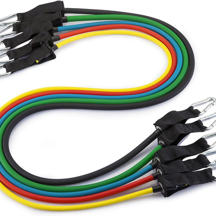 12-Piece Resistance Bands Set: Complete Workout Set with Instructional Booklet