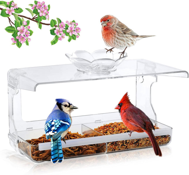 Window Bird Feeder – Clear, Transparent, Non-Marking Hooks for Wild Bird Watching