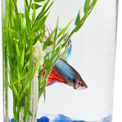1.1 Gallon Half Moon Fish Tank Kit with LED Light, Acrylic Betta Aquarium for Beginners