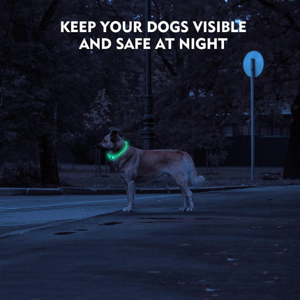 LED Dog Collar – Rechargeable, Waterproof Light-Up Collar for Night Walking (Blue)