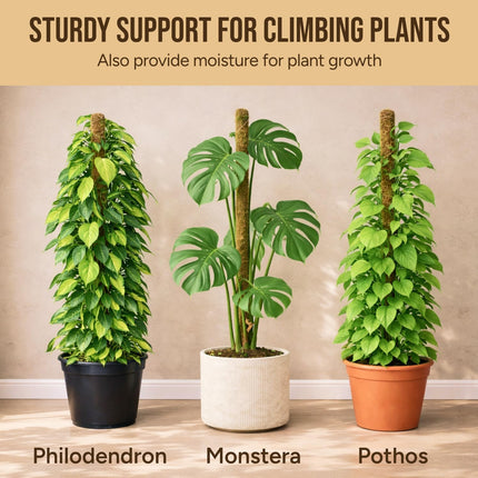 2-Pack Moss Poles – 28” Monstera Plant Supports for Climbing Indoor Plants