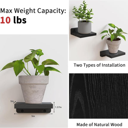 Wall Shelves 5x5 Inches Set of 4 Small Floating Rustic Wood Black Mount