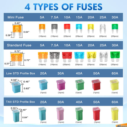 250PCS Car Fuse Assortment Kit, Mini Blade & JCASE Fuses 5A-60A for Cars & Trucks