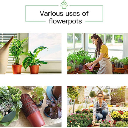 100-Pack 4" Plastic Plant Nursery Pots – Seedling Containers with Labels
