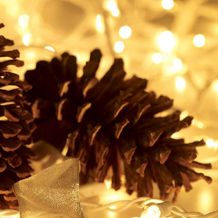 100 Count Mini Clear Christmas Lights 21ft – White Wire String Lights for Indoor/Outdoor