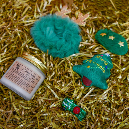 Merry Christmas Gift Box for Women – Relaxing Scented Bath Gifts for Friends & Holiday Cheer