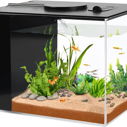 1 Gallon Betta Fish Tank Aquarium Kit, Small Fish Bowl with LED Light & Filter Pump