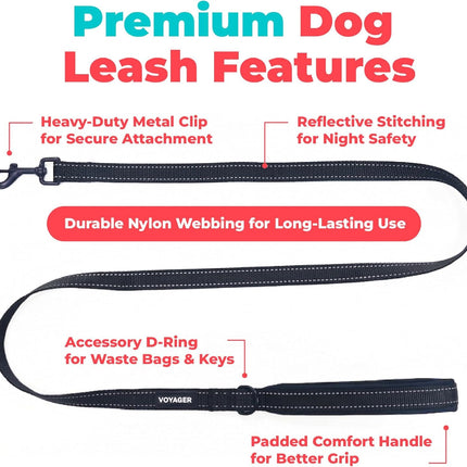 Reflective Dog Leash with Neoprene Handle Heavy Duty Walking Training Black