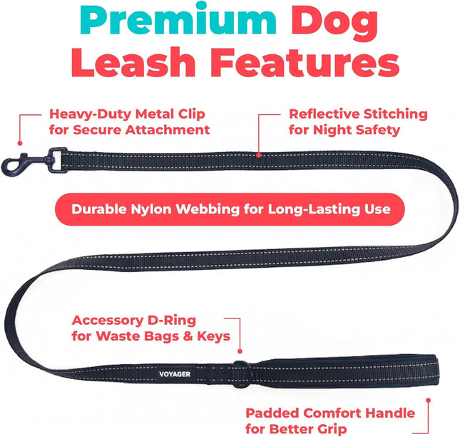 Reflective Dog Leash with Neoprene Handle Heavy Duty Walking Training Black