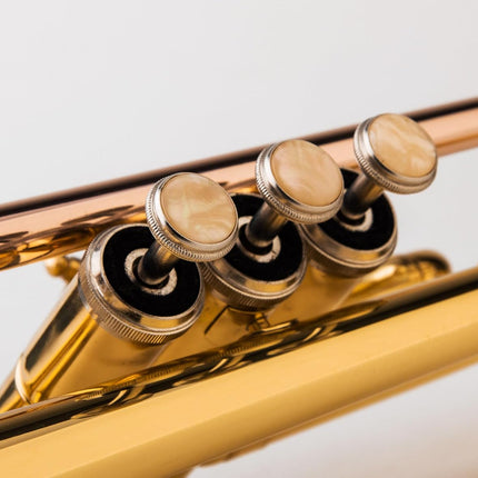 Bb Trumpet for Beginners & Advanced Students – Gold, Case & Pair of Gloves Included