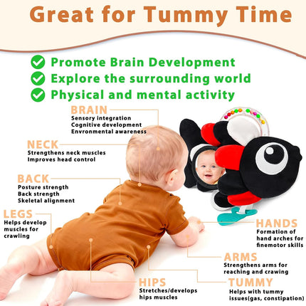 Baby Rattles & Teething Toys – Sensory Shaker for 0-12 Months