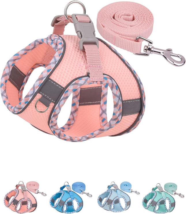 Dog Harness & Leash Set for No-Pull Small/Medium Dogs, Step-In Vest (Pink XXS)
