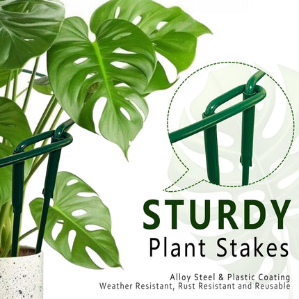 6 Pack Plant Support Stakes – Detachable Metal Rings for Tomatoes & Monstera (10" W x 16" H)