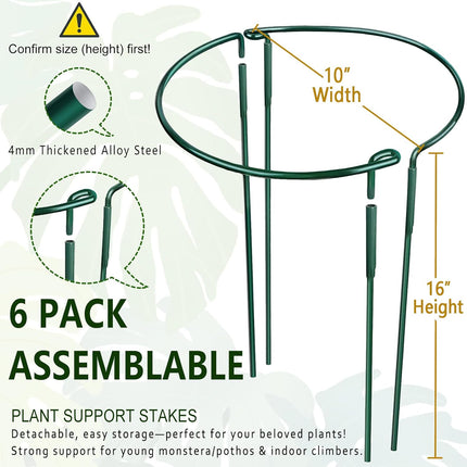 6 Pack Plant Support Stakes – Detachable Metal Rings for Tomatoes & Monstera (10" W x 16" H)