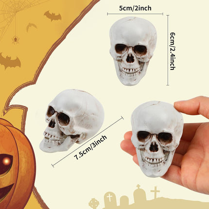 8-Piece Halloween Skull Heads, Realistic Plastic Skeleton Props for Party & Home Decor