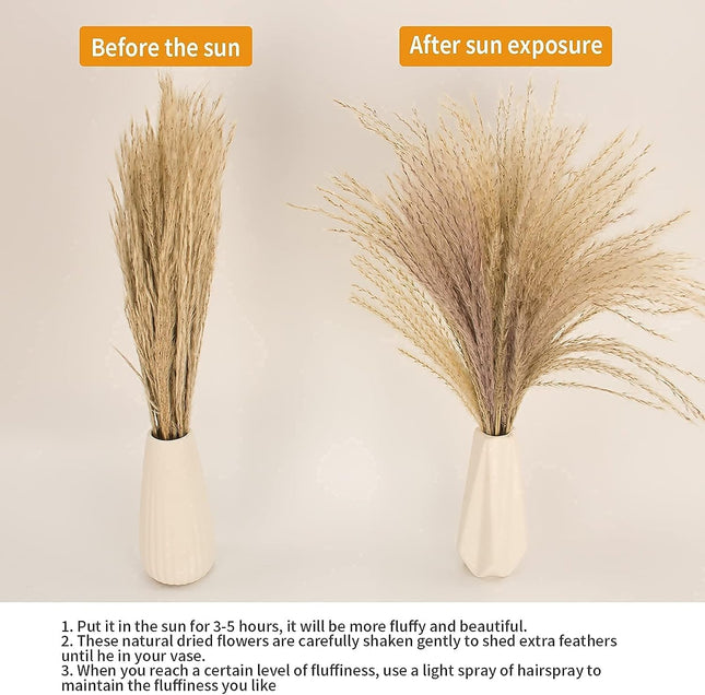 65PCS Pampas Grass Decor – Dried Flowers, Bunny Tails & Boho Bouquet